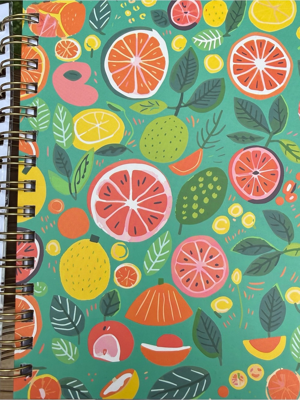 Journal & Stickers - Fruit Sticker Sheets - Picture 2 of 3